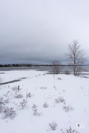 Winters Depths-2