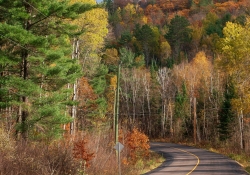 24 Landscape Sharpness-2
