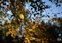 27 Bokeh-3