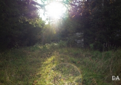 29 Flare-2