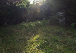 29 Flare