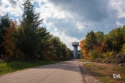 Airport Woods-10