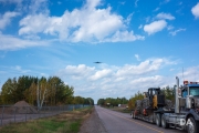 Airport Woods