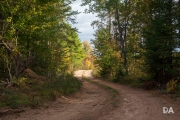 Early Autumn-14