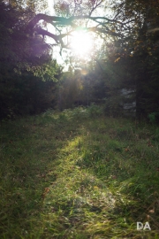 Early Autumn-6