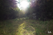 Early Autumn-7
