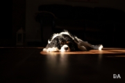Sleeping Dogs-5