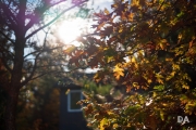 Autumn Goodness-4