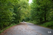 Kentucky-2
