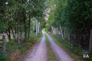 Renfrew-17