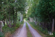 Renfrew-18