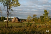 Renfrew-4
