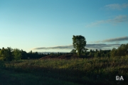 Renfrew-6