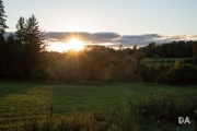 Renfrew-8