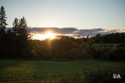 Renfrew-9