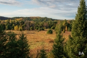 The Highlands-11