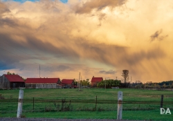 18 Landscape-2