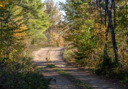 18 Landscape