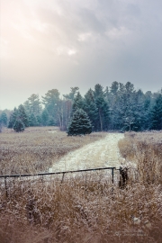Processed Favorites-4