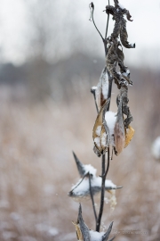 Unprocessed Shots-10