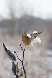 Unprocessed Shots-11