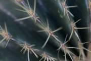 Unprocessed Shots-18