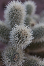 Unprocessed Shots-36