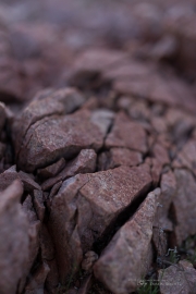 Unprocessed Shots-39