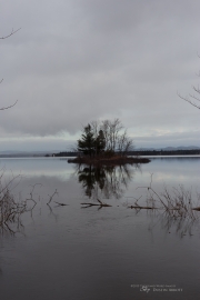 Unprocessed Shots-4