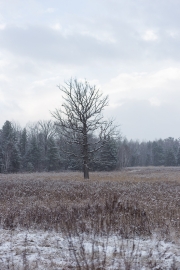 Unprocessed Shots-8