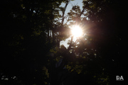 Milvus-135mm-Samples-10