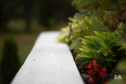 Milvus-135mm-Samples-56