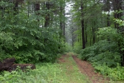 The Hike-18