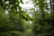 The Hike-20