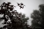 The Hike-8