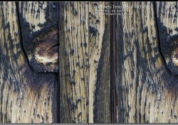 Canon vs Milvus Close f28 M Center