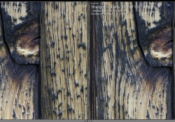 Canon vs Milvus Close f56 M Center