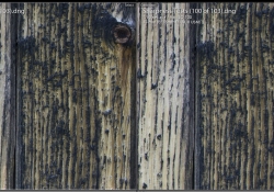 Canon vs Milvus Close f56 Right