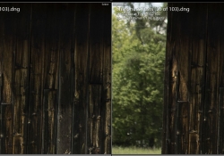 Medium Distance Comparo Left