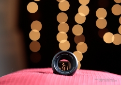 Bokeh Comparisons-4