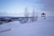 Winter Pastels (Zeiss Milvus 85mm f/1.4)