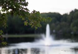 Emerald Necklace-10