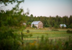 17-Landscape-Vignette