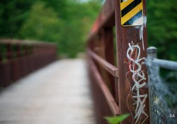 29-Bokeh-11