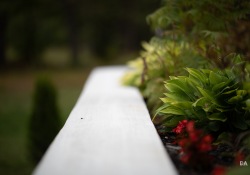 29-Bokeh-8