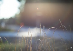 31-Flare-3