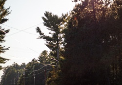 31-Flare