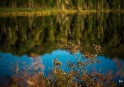 34-Landscape