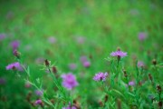 Cloudy-Otus-11