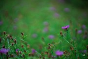 Cloudy-Otus-9